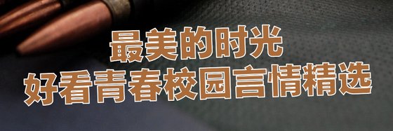 最美的时光好看青春校园言情精选